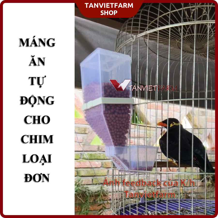  2 cái | Máng ăn tự động cho chim | Máng ăn cho gà | Cóng ăn tự động cho chim   Loại đơn   
