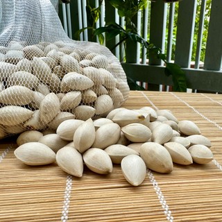 Hạt Bạch Quả 1kg (hạt tươi, không tẩy trắng)