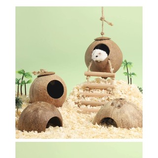 nhà hang dừa cho hamster / sóc / bò sát - T3 PETS SHOP