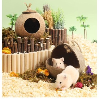nhà hang dừa cho hamster / sóc / bò sát - T3 PETS SHOP