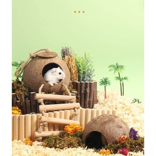 nhà hang dừa cho hamster / sóc / bò sát - T3 PETS SHOP