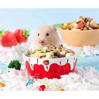 chén ăn cho hamster, thỏ,sóc,nhím.... - T3 PETS SHOP