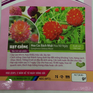 Gói 100 Hạt giống Hoa Cúc Bách Nhật (Hoa nở ngày)