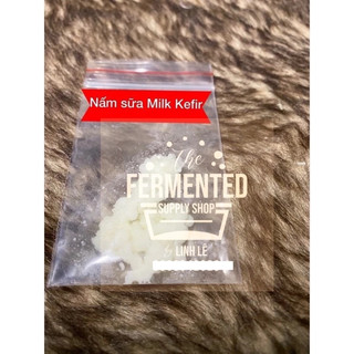   Cam kết thành công Nấm sữa Kefir sữa chua ko cần ủ Milk kefir siêu đẻ-men sữa chua hỗ trợ giảm cân siết cân 