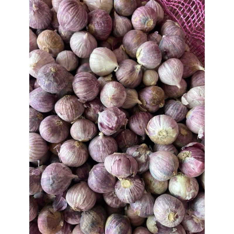 500g - 1kg tỏi cô đơn.