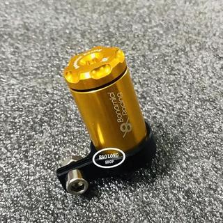 Bình Dầu rời BonamiciRacing đủ màu