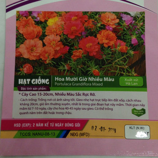Hạt giống hoa mười giờ nhiều màu