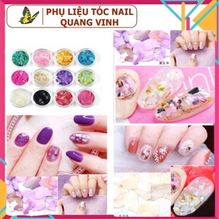 xà cừ nail sét 12 màu