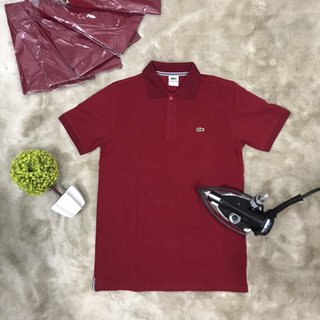 Áo thun cá sấu cao cấp dành cho Nam