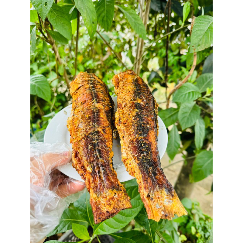 Cá chày ăn liền hồ Thác Bà-500g