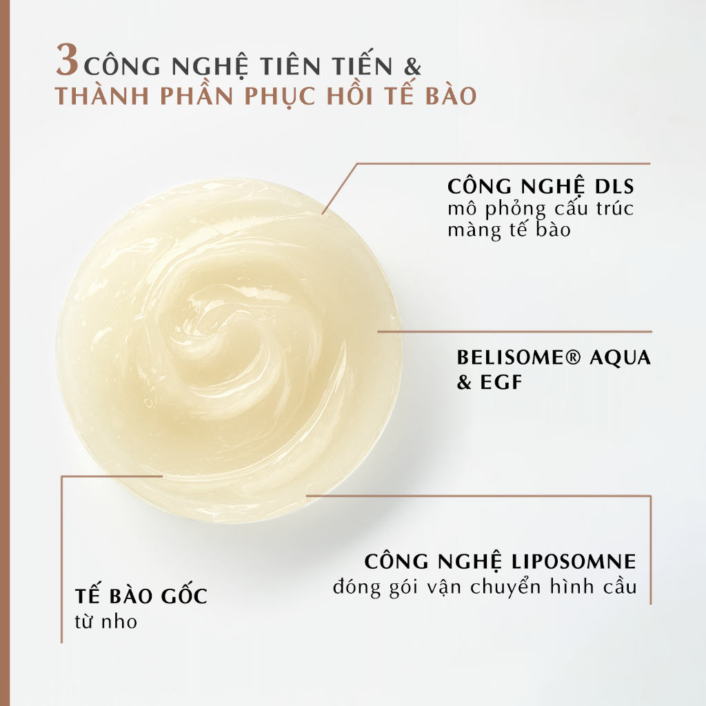 Kem Tái Tạo Đường Nét Dr. Belter 311s Dynamic24 Matrix Contouring Cream (5ml) - Chính hãng Đức