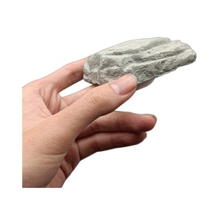Khảo cổ xương khủng long