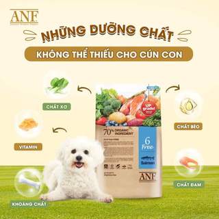 thức ăn hạt  ANF 6Free cho chó loại 2kg ( nguyên liệu hữu cơ) - T3 PETS SHOP