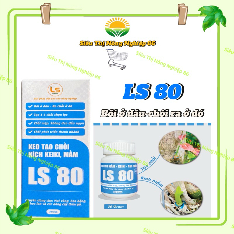 keo kích chồi LS80 bôi ở đâu là mọc ở đó