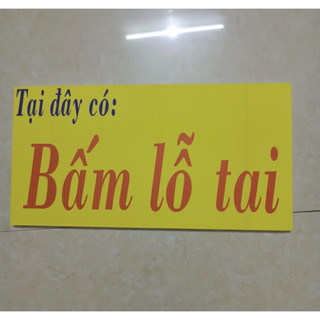 Súng bắn lỗ tai