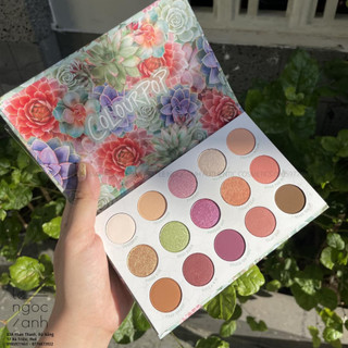[BILL US] Bảng Mắt Colourpop