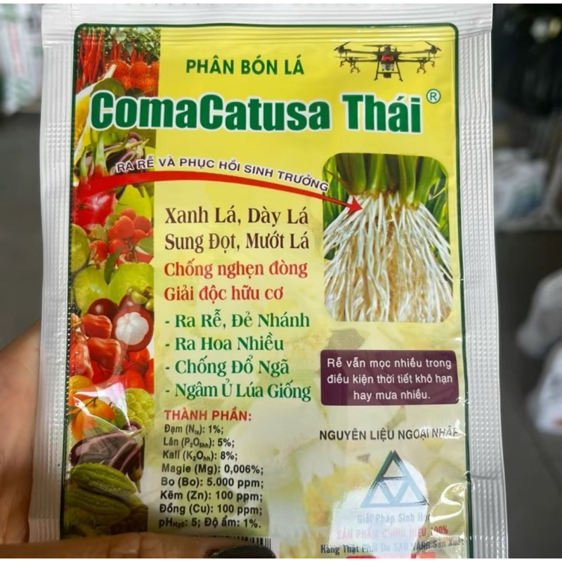 Comcat Thái Ra Rễ, Xanh Lá, Dày Lá Sung Đọt, Mướt Lá Chống nghẹn đòng, Giải hữu cơ - Ra Rễ, Đẻ Nhánh