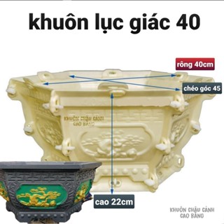 khuôn đúc chậu cảnh lục lục giác giác 40 (khuôn chậu ABS có lòng trong)