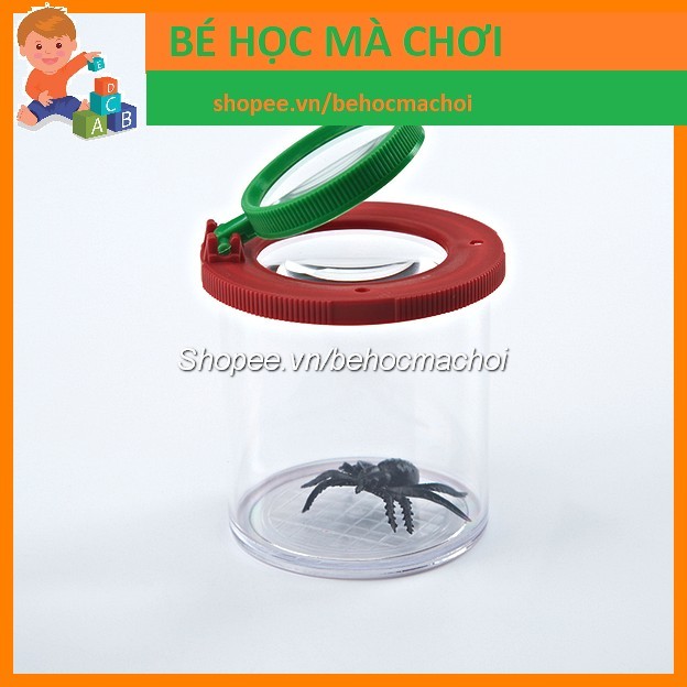 Hộp quan sát Côn Trùng
