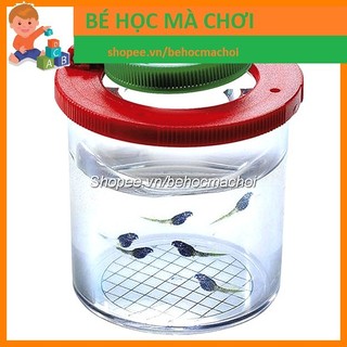 Hộp quan sát Côn Trùng