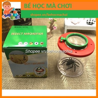Hộp quan sát Côn Trùng