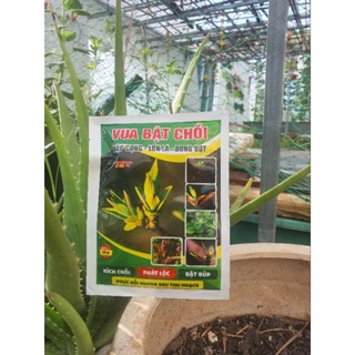Phân Bón Bật Chồi gói 50gr