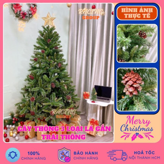 Cây Thông Noel 3 Loại Lá Gắn Trái Thông Cao 2m Tặng 1 Ngôi Sao Và  Dây Kim Tuyến Trang Trí Giáng Sinh Cho Công Ty, Phò
