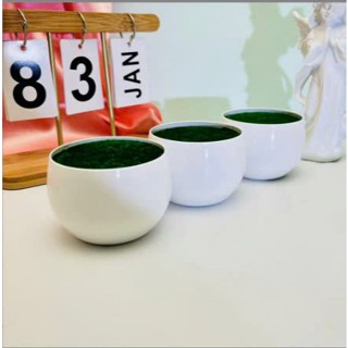 5 chậu nhựa có xốp dùng cắm hoa giả, cây giả trang trí nhà cửa