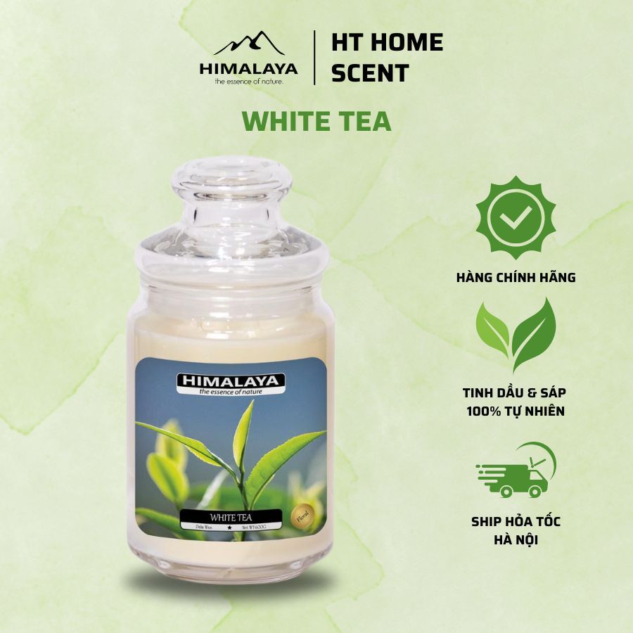 Nến thơm Himalaya White Tea, Sản phẩm nến thơm hương dễ chịu, nhẹ nhàng loại 140g/400g/600g