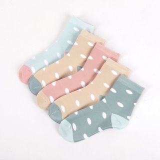 Combo 5 vớ dài size Nữ