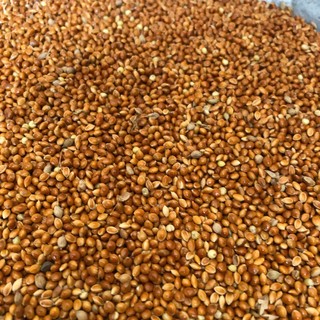 Kê đỏ hạt to đóng gói 500g/1kg