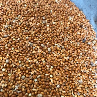 Kê đỏ hạt to đóng gói 500g/1kg