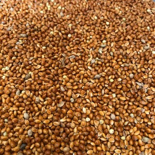 Kê đỏ hạt to đóng gói 500g/1kg