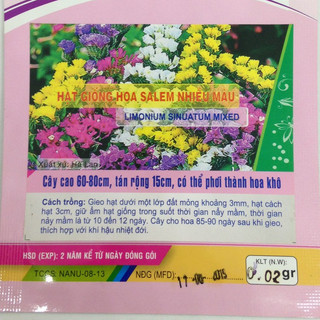 Hạt giống Hoa Salem Nhiều Màu