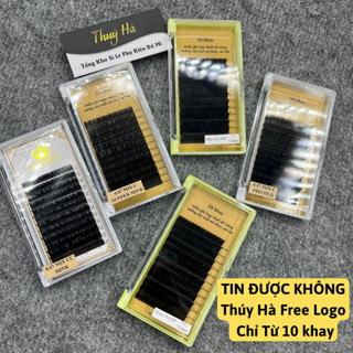  i Mẫu Độc Quyền  Mi Khay Logo Thương Hiệu Riêng Free Logo Từ 10 Khay   Thúy Hà 