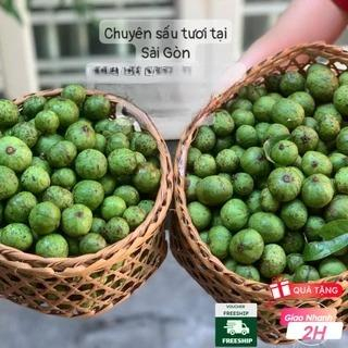 Sấu tươi Hà Nội bán tại Sài Gòn, Sấu đông lạnh xuất khẩu - Ship Hỏa Tốc