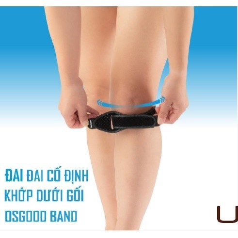 (Chính Hãng) Đai khớp gối Bonbone Osgood Band hỗ trợ cố định khớp dưới gối, hạn chế sức nặng lên đầu