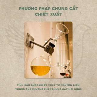 Combo 2 tinh dầu Quế Homer 20ml/chai