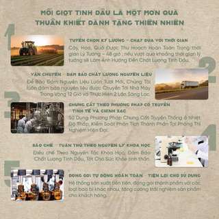 Combo 2 tinh dầu Quế Homer 20ml/chai
