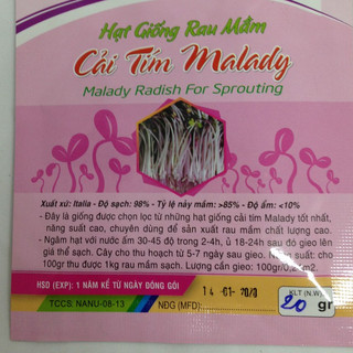 HẠT GIỐNG RAU MẦM CẢI TÍM MALADY 20G