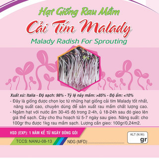 HẠT GIỐNG RAU MẦM CẢI TÍM MALADY 20G