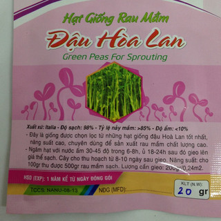 HẠT GIỐNG RAU MẦM ĐẬU HÀ LAN 20G