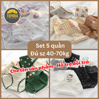 [40-70kg] SET 5 Quần Lót Bigsize Chất Cotton Mềm Kháng Khuẩn Cạp Thấp Cute Dễ Thương Cho Nữ TOPBRA