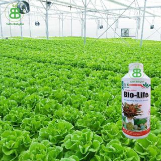 Dung Dịch Thủy Canh Bio Life, Chuyên Cho Cây Thủy Sinh, Cây trồng thủy, Trồng Trong Nước Vuonbabylon - Chai 1L
