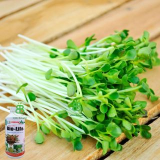 Dung Dịch Thủy Canh Bio Life, Chuyên Cho Cây Thủy Sinh, Cây trồng thủy, Trồng Trong Nước Vuonbabylon - Chai 1L