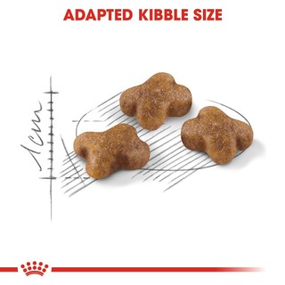 Hạt Cho Mèo Con Royal Canin Kitten 36