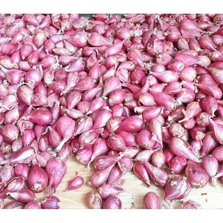 Hành Lý Sơn Túi 1kg