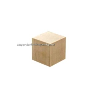 bộ 100 khối gỗ mộc 2.5cm