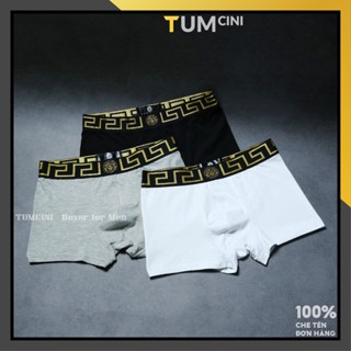Quần sịp nam chất liệu cotton mềm mại cao cấp mẫu mới siêu co giãn 6 chiều Tumcini VER1