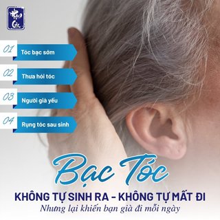 Hà thủ ô đỏ Phạm Gia Gold 3+ - ngăn rụng tóc bạc tóc sớm hiệu quả